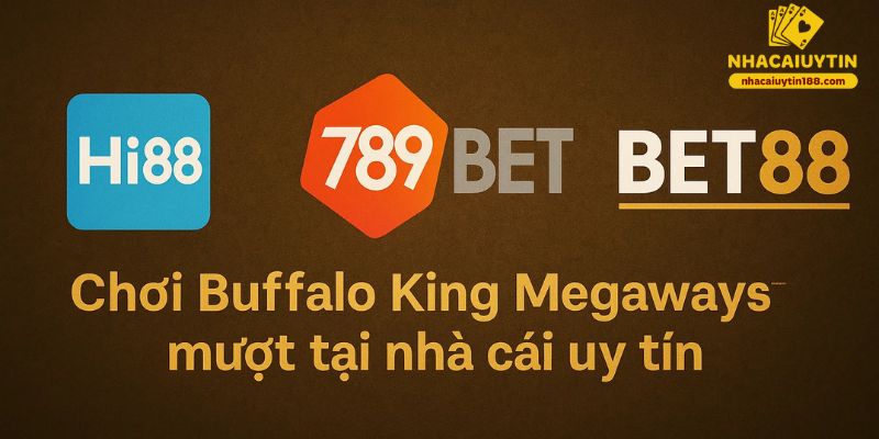 Nhà cái chạy Buffalo King Megaways mượt nhất